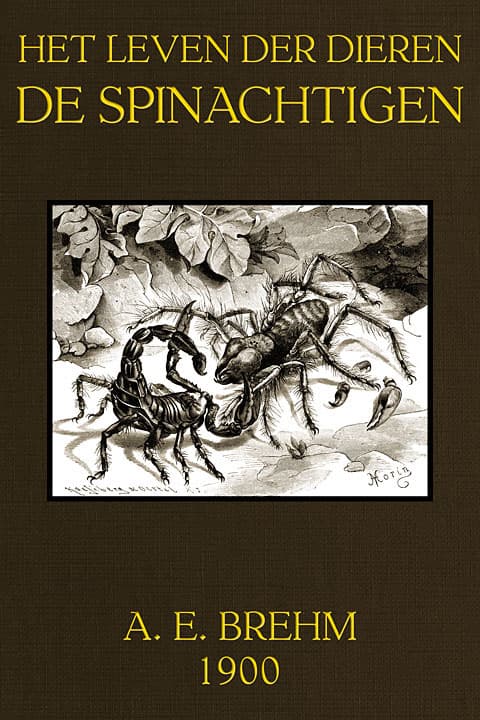 Het Leven der Dieren, Deel 3, Hoofdstuk 5: De Spinachtigen
