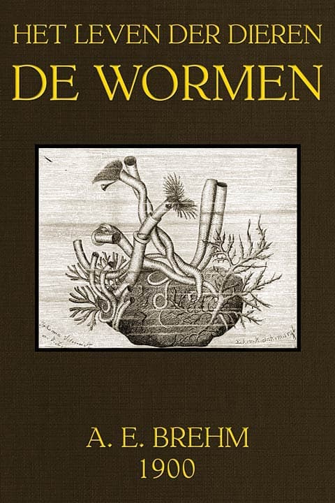 Het Leven der Dieren, Deel 3, Hoofdstuk 6: De Wormen