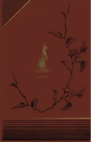 An Australian Ramble; Or, A Summer in Australia