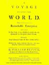 A Voyage Round the World
