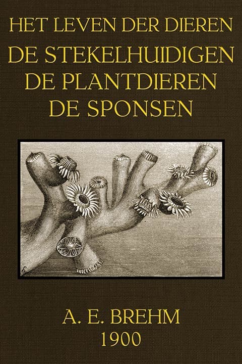 Het Leven der Dieren: Deel 3.8, De Stekelhuidigen, Plantdieren en Sponsen