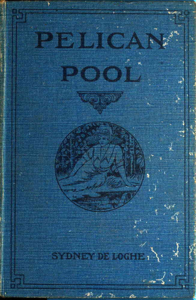 Pelican Pool: A Novel