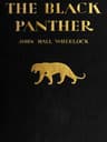 The Black Panther: A book of poems