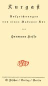 Kurgast: Aufzeichnungen von einer Badener Kur