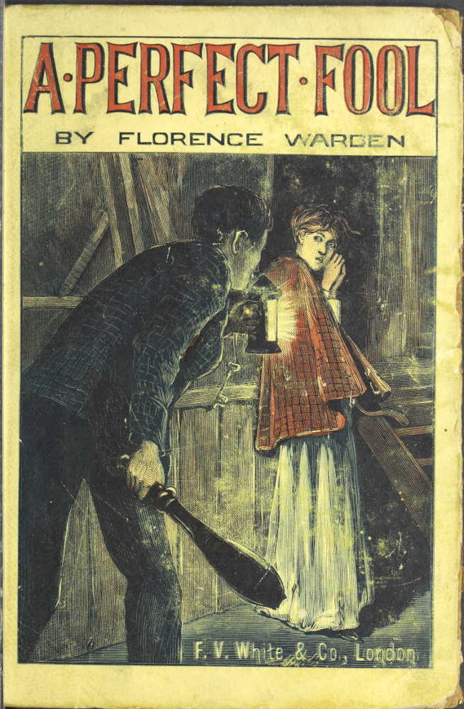 A Perfect Fool: A Novel