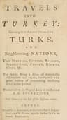 Travels into Turkey