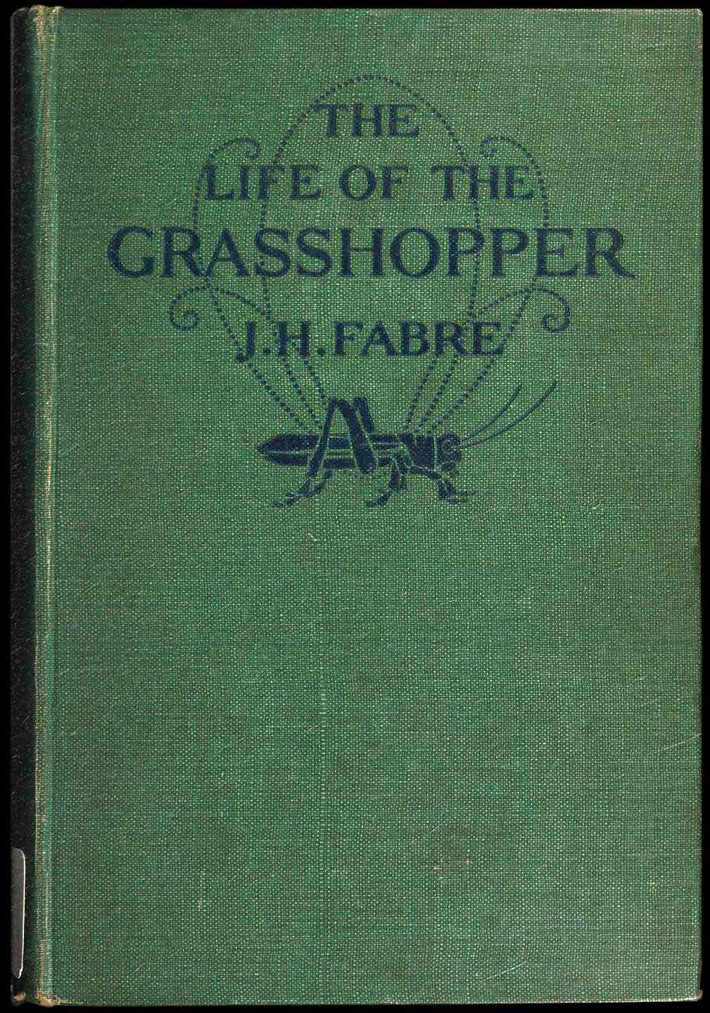 The Life of the Grasshopper