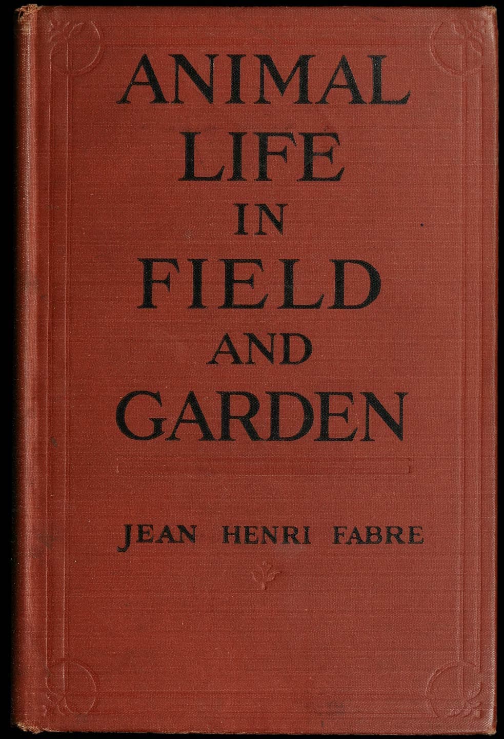 Animal Life in Field and Garden