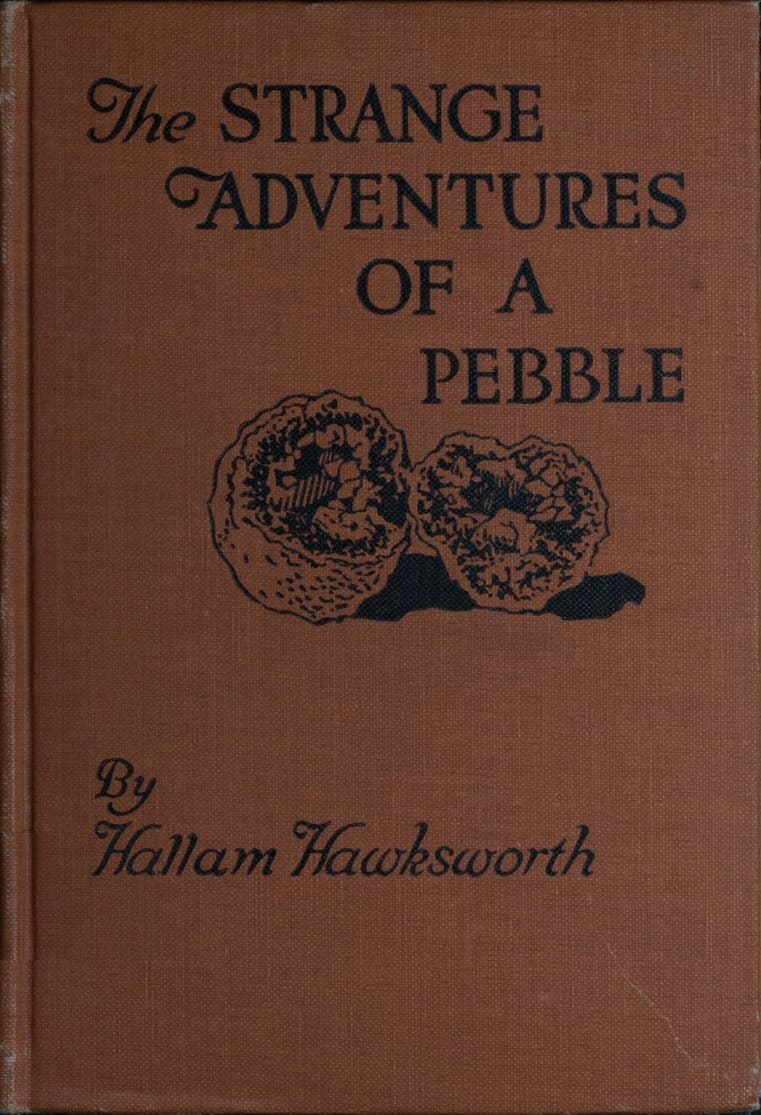 The Strange Adventures of a Pebble
