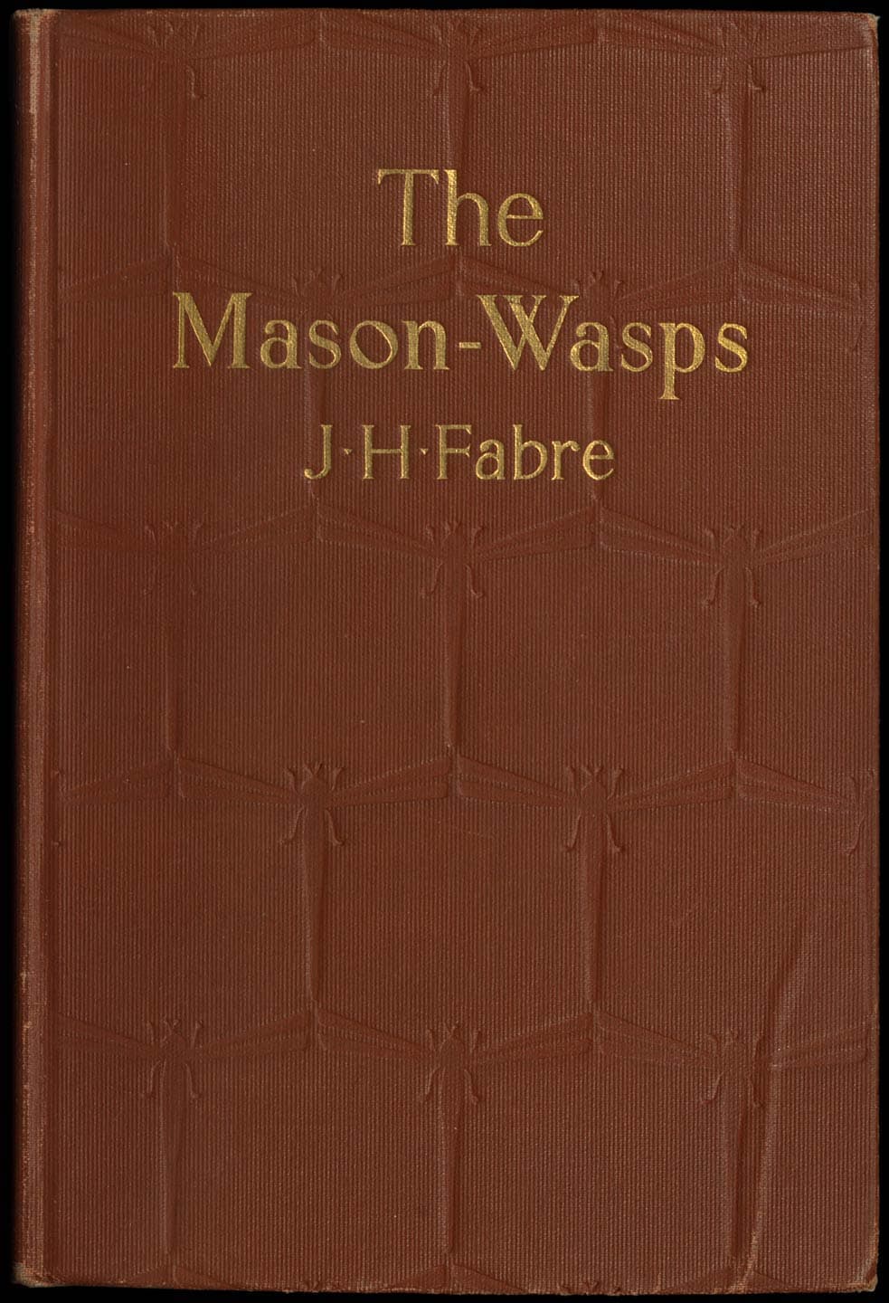The Mason-Wasps