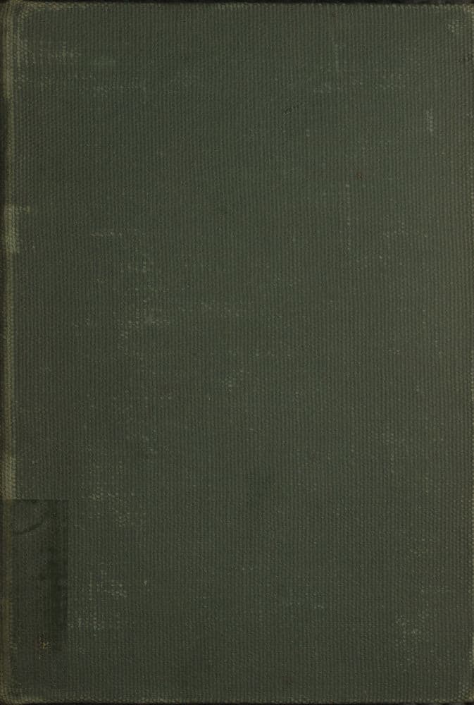 A Son of the Ages: The Reincarnations and Adventures of Scar, the Link: A Story of Man from the Beginning