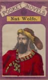 Nat Wolfe; Or, The Gold Hunters: A Romance of Pike's Peak and New York