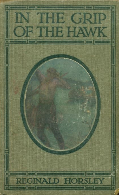 In the Grip of the Hawk: A Story of the Maori Wars