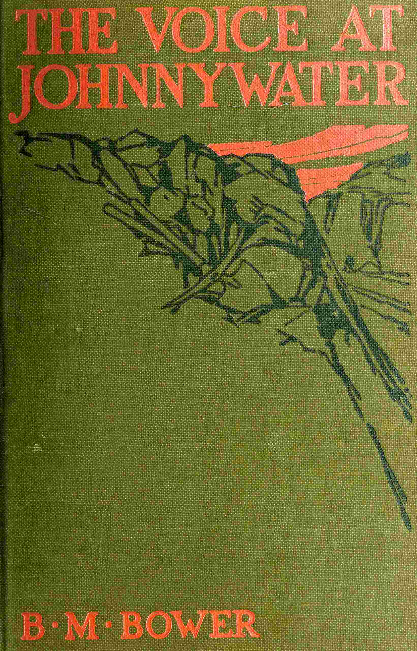 The Voice at Johnnywater