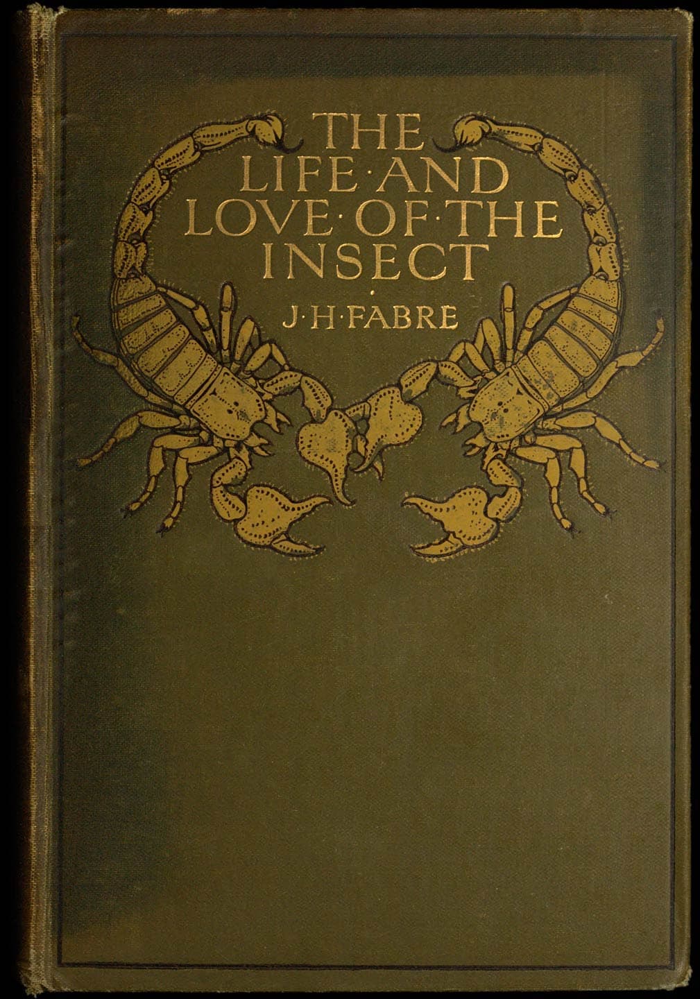The Life and Love of the Insect