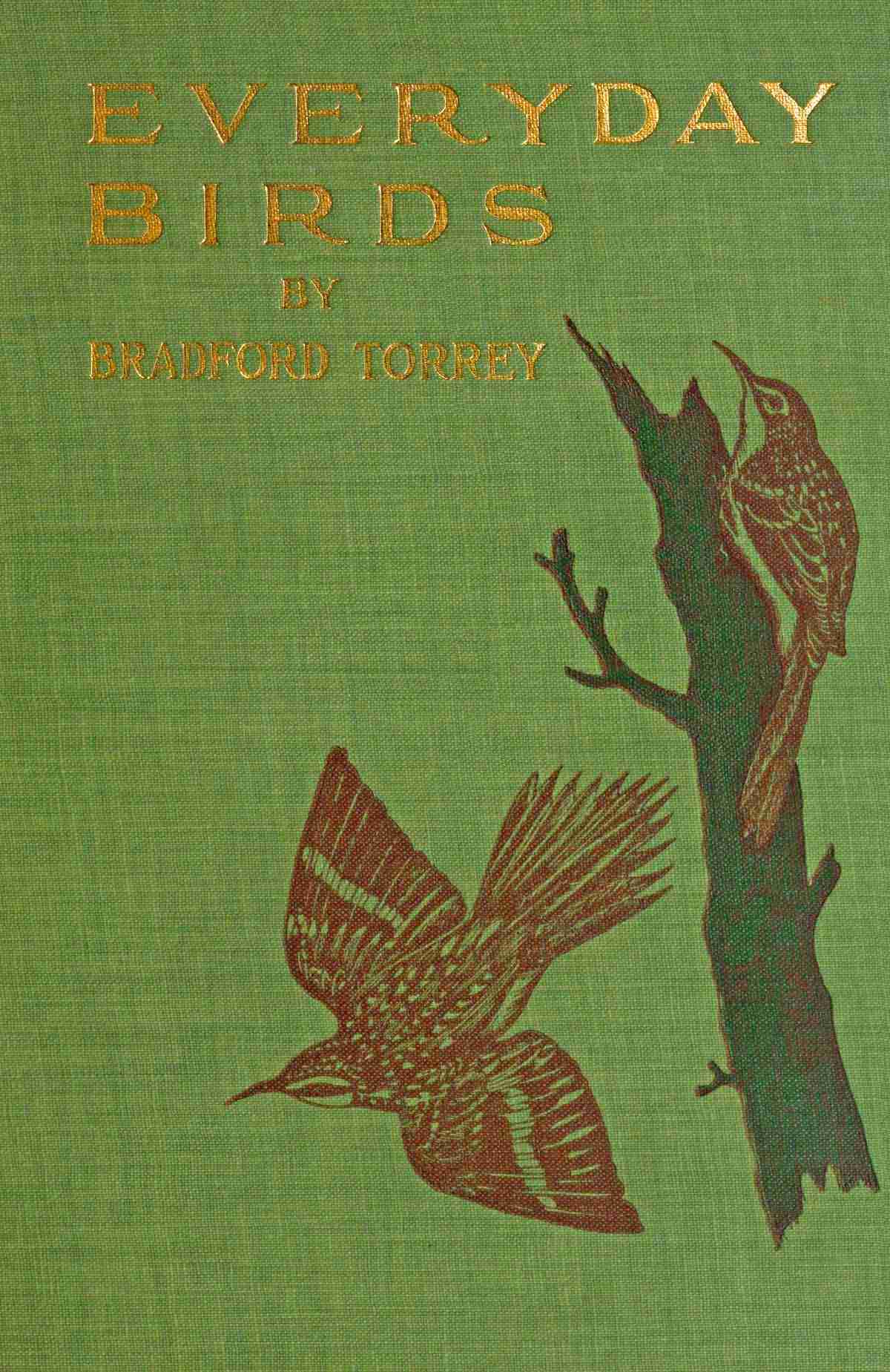 Everyday Birds: Elementary Studies