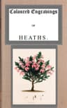 Coloured Engravings of Heaths; Vol. 4