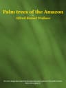 Palm Trees of the Amazon and Their Uses