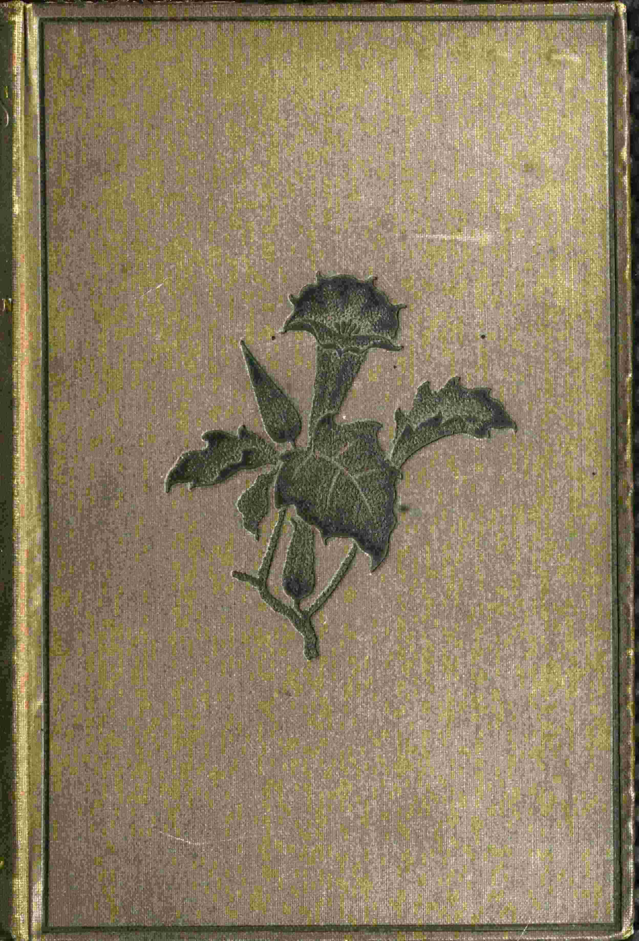 Torwood's Trust: A Novel (vol. 3 of 3)