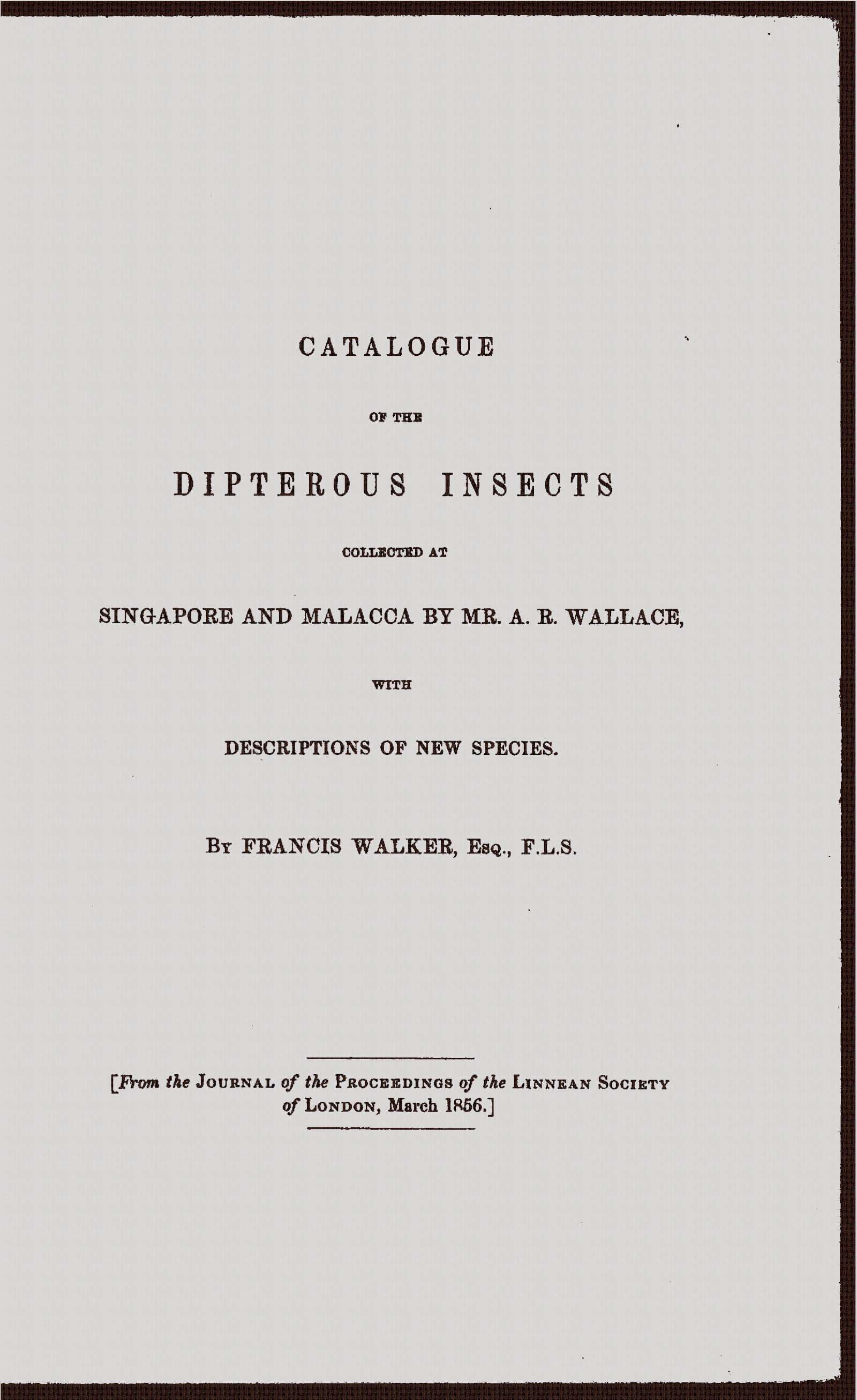 Catalogue of the Dipterous Insects Collected at Singapore and Malacca