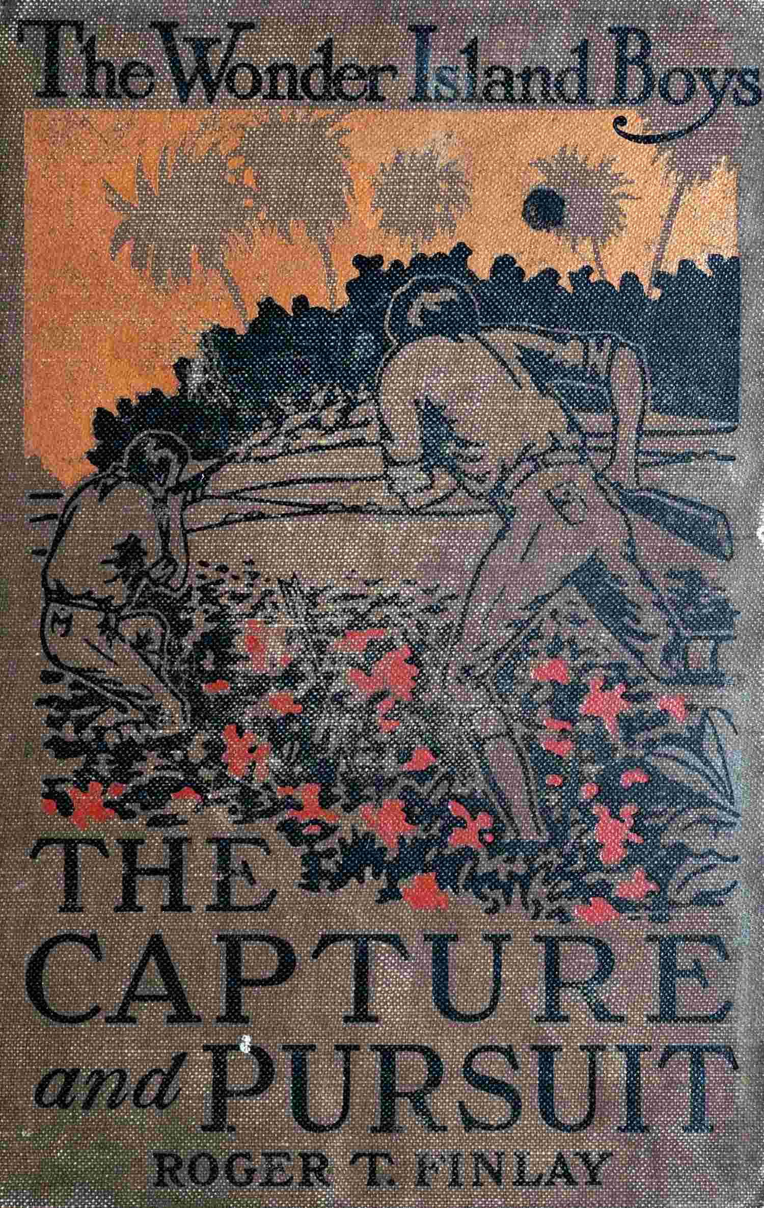 The Wonder Island Boys: Capture and Pursuit