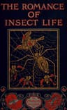 The Romance of Insect Life: Interesting Descriptions of the Strange and Curious in the Insect World