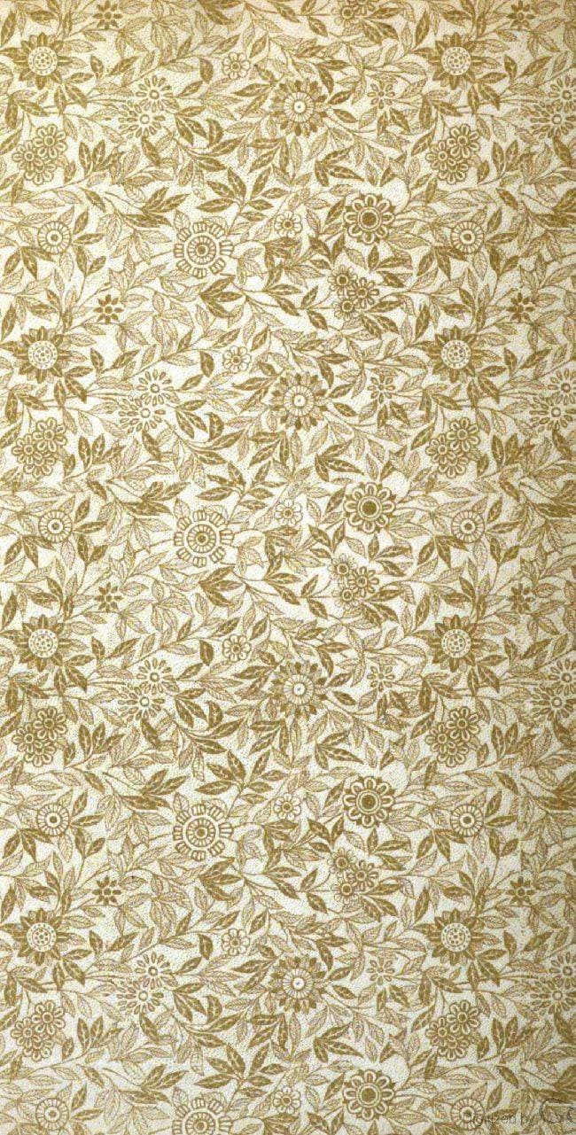 Sweet Cicely — or Josiah Allen as a Politician