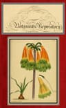 The Botanist's Repository for New and Rare Plants; Vol. 03 & 04 [Of 10]