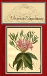 The Botanist's Repository for New and Rare Plants; Vol. 06 [Of 10]