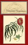 The Botanist's Repository for New and Rare Plants; Vol. 08 [Of 10]