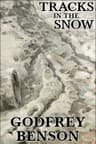 Tracks in the Snow: Being the History of a Crime