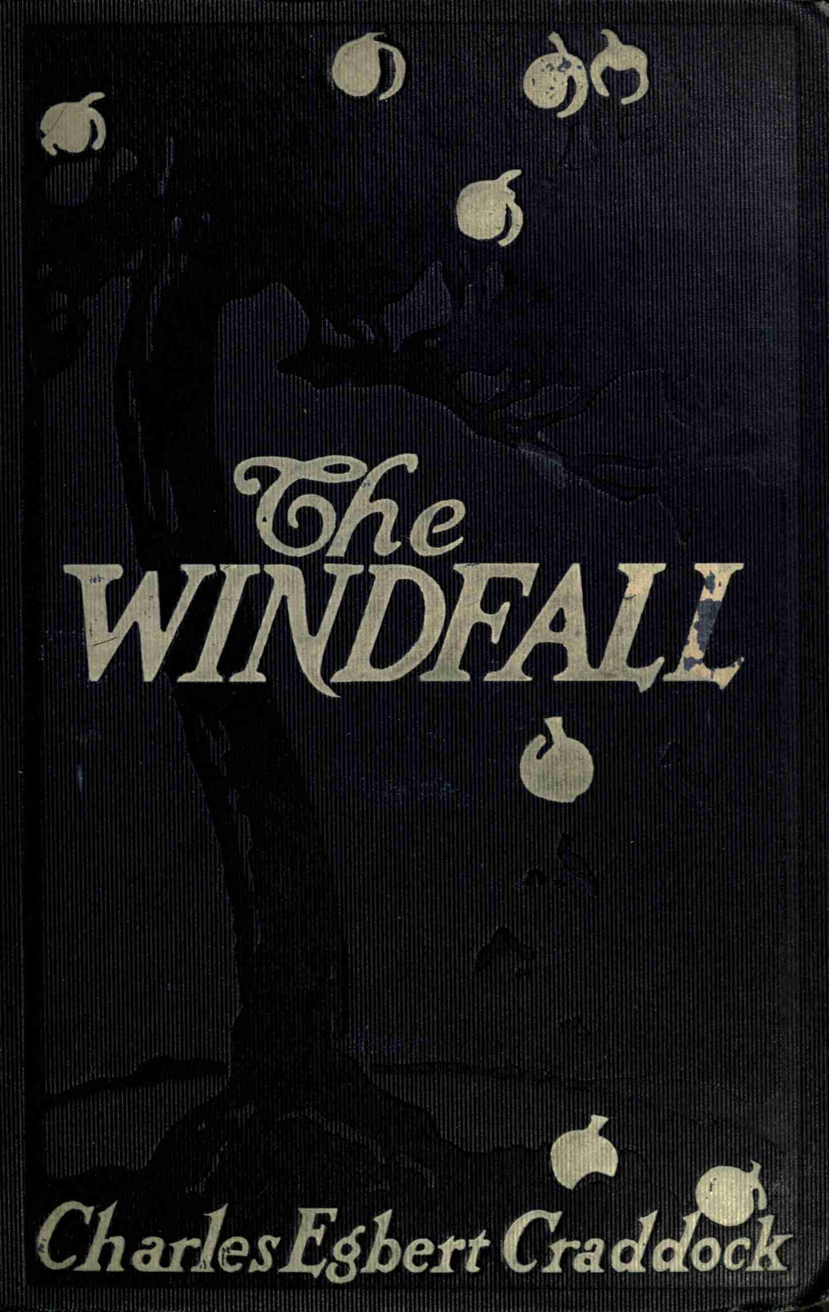 The Windfall: A Novel
