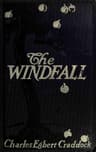 The Windfall: A Novel