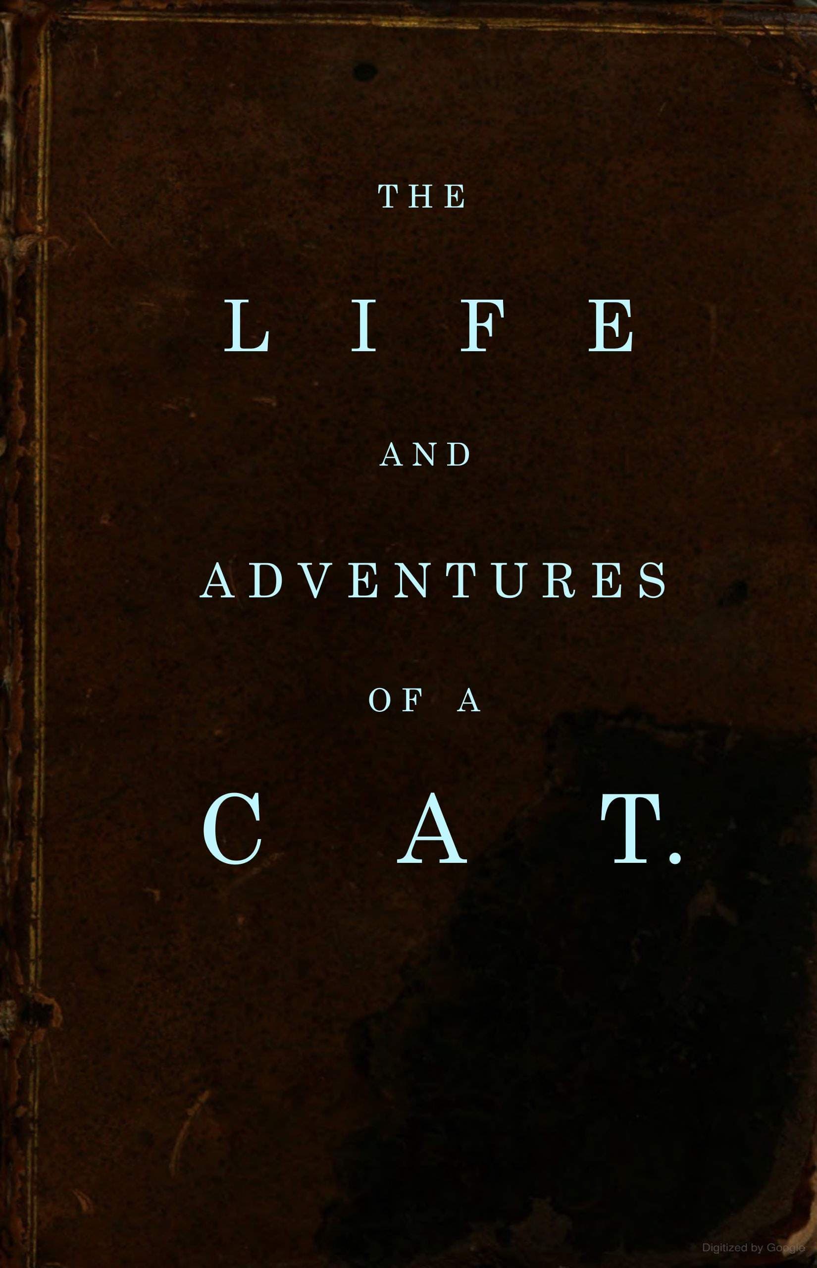The Life and Adventures of a Cat