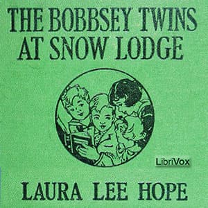 Bobbsey Twins at Snow Lodge