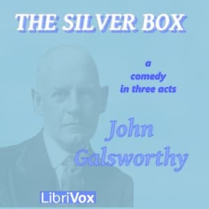 Silver Box