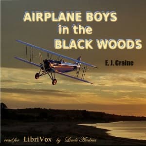 Airplane Boys in the Black Woods