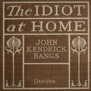 Idiot at home