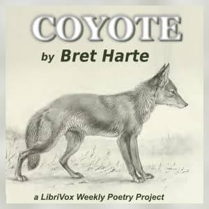 Coyote