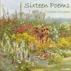 Sixteen Poems