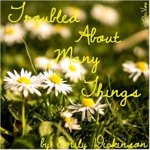 Troubled About Many Things