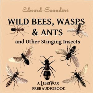Wild Bees, Wasps and Ants and Other Stinging Insects