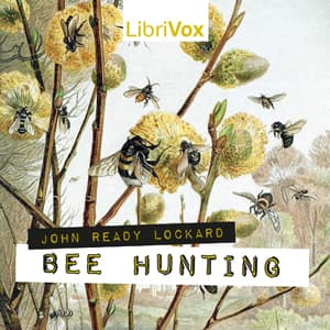 Bee Hunting