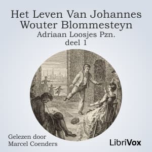 leven van Johannes Wouter Blommesteyn - deel 1