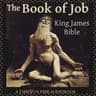 Bible (KJV) 18: Job (version 3)