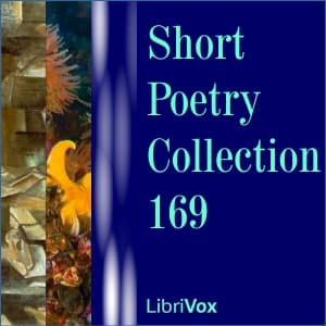 Short Poetry Collection 169