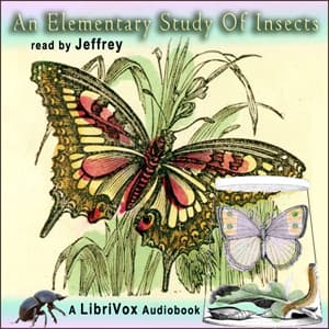 Elementary Study of Insects