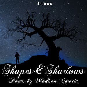 Shapes and Shadows
