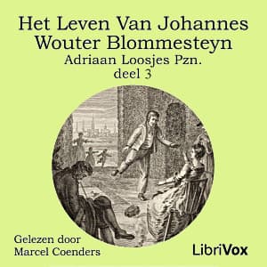 leven van Johannes Wouter Blommesteyn - deel 3
