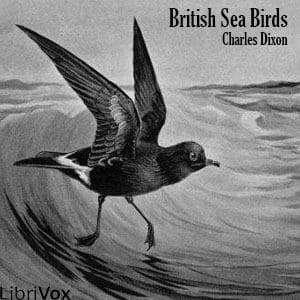 British Sea Birds